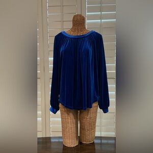 Beautiful Blue Velvet Top